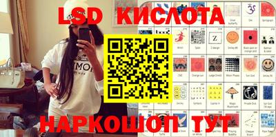 крисы Моздок
