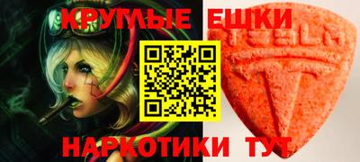 крисы Моздок