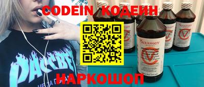 крисы Моздок