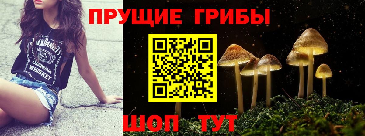 Псилоцибиновые грибы мицелий  Вход с VPN  магазин продажи наркотиков  Бузулук 